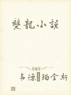 双龙小说