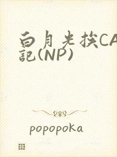 白月光挨CAO记(NP)