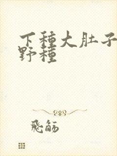 下种大肚子怀孕野种