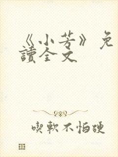 《小芳》免费阅读全文
