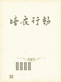 暗夜行动封面