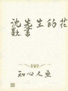 沈先生的花式调数书