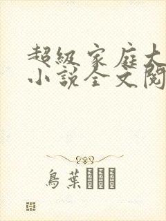 超级家庭大杂烩小说全文阅读