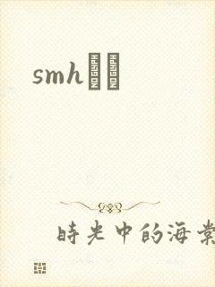 smhС˵