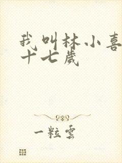 我叫林小喜今年十七岁