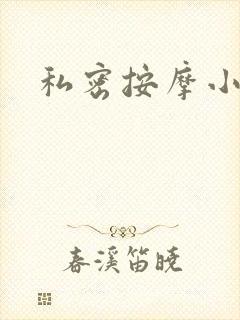 私密按摩小说