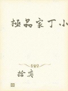 极品家丁小说