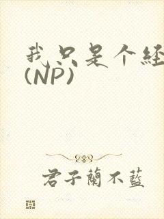 我只是个经纪人(NP)