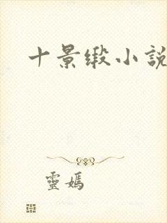 十景缎小说封面