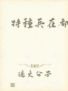 特种兵在都市