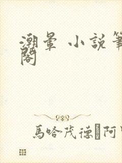 潮晕 小说笔趣阁