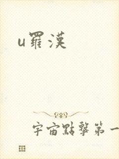 u罗汉封面