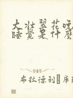 大壮翠花晚上不睡觉是什么电视剧