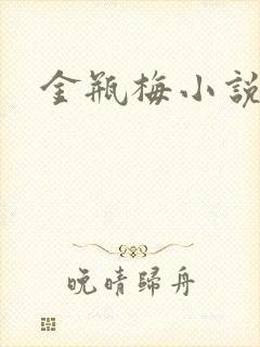 金瓶梅小说封面