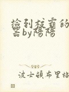 捡到校霸的遥控器by阳阳