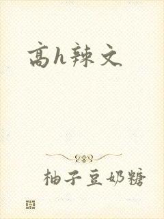 高h辣文