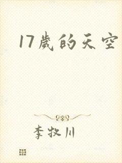 17岁的天空封面