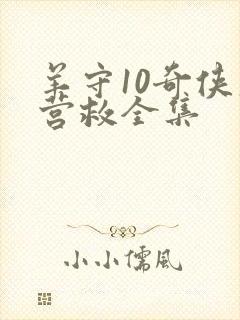 羊守10奇侠大营救全集封面