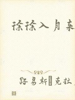 徐徐入月来封面