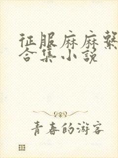 征服麻麻系列大合集小说