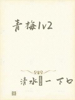 青梅1v2