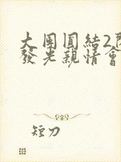 大团圆结2闪闪发光亲情会