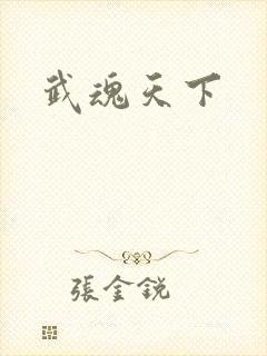 武魂天下