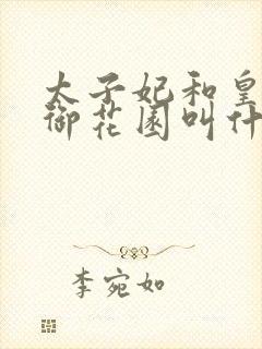 太子妃和皇帝在御花园叫什么小说