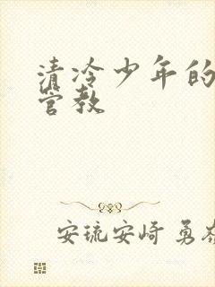 清冷少年的严厉管教