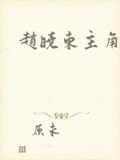 赵晓东主角小说