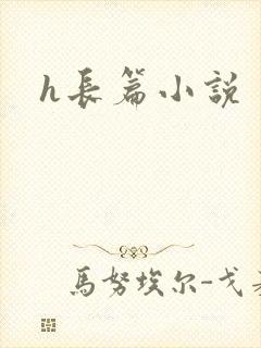 h长篇小说