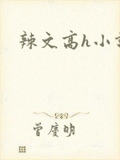 辣文高h小说封面