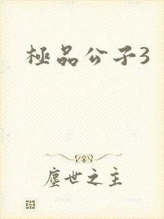 极品公子3