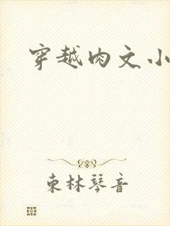 穿越肉文小说