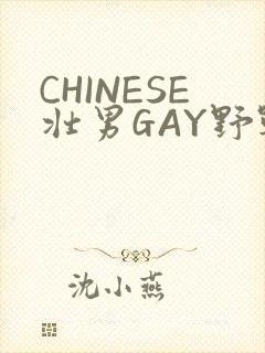 CHINESE壮男GAY野战强迫TUBE