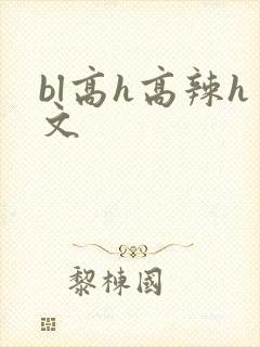 bl高h高辣h文封面