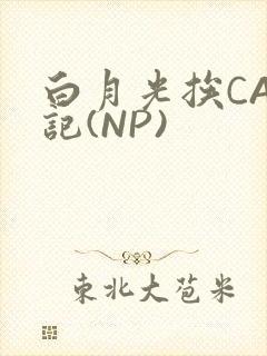 白月光挨CAO记(NP)封面