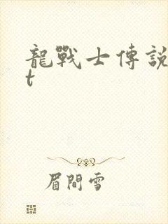 龙战士传说txt