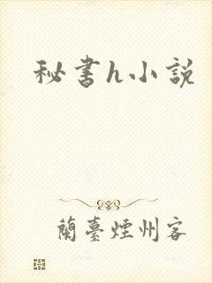 秘书h小说