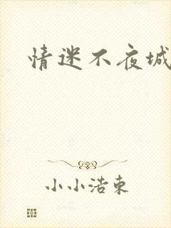情迷不夜城