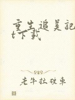 重生追美记txt下载封面