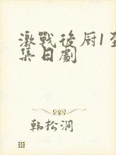 激战后厨1至5集日剧