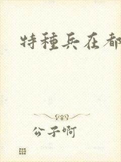 特种兵在都市