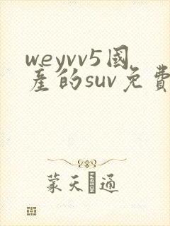 weyvv5国产的suv免费