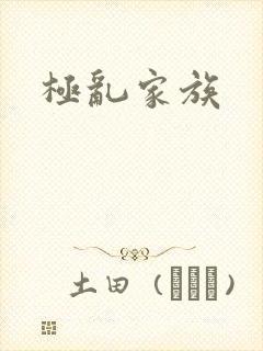 极乱家族封面