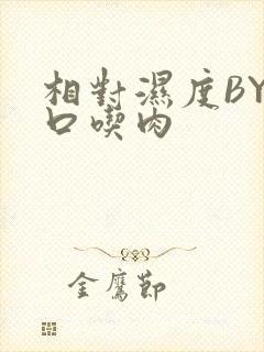 相对湿度BY大口吃肉