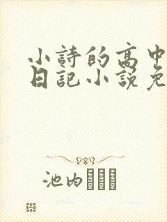 小诗的高中成长日记小说免费阅读