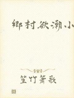 乡村欲潮小说封面