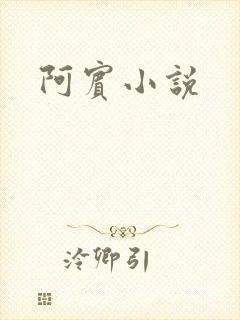 阿宾小说