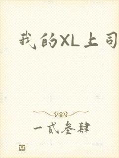 我的XL上司